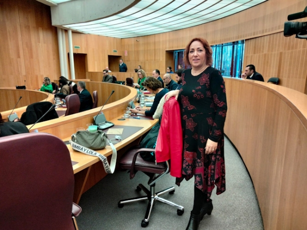 Mari Carmen Pérez (IU)