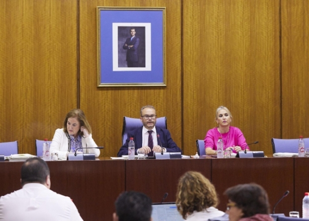 Mariano García (PP)