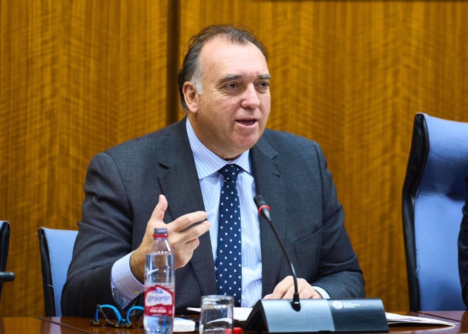 El consejero de Turismo, Cultura y Deporte, Arturo Bernal, la semana pasada en el Parlamento de Andalucía (JOAQUIN CORCHERO / PARLAMENTO DE ANDALUCIA)