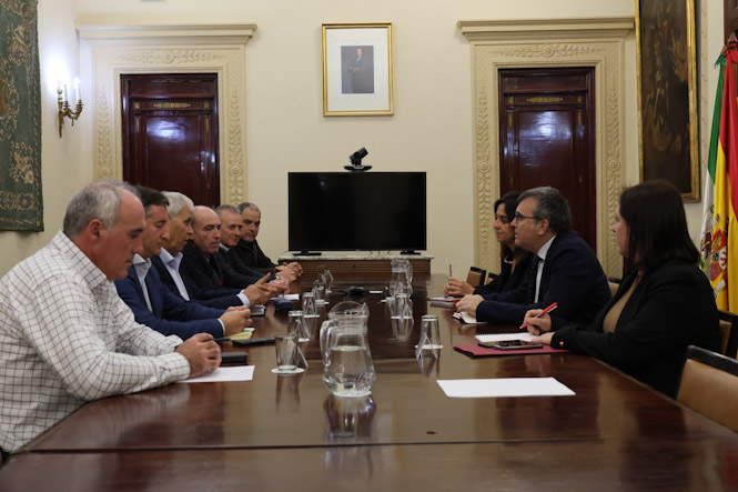 Imagen de la reunión (SUBDELEGACIÓN)
