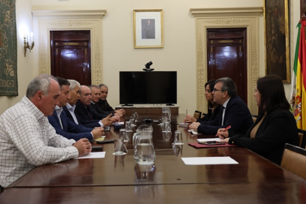 Imagen de la reunión (SUBDELEGACIÓN)