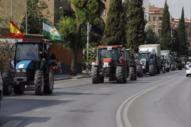 Los regantes durante la tractorada para reclamar la autorización del riego con aguas regeneradas, en mayo de 2023 (ÁLEX CÁMARA - EUROPA PRESS) Los regantes durante la tractorada para reclamar la autorización del riego con aguas regeneradas, en mayo de 2023 (ÁLEX CÁMARA - EUROPA PRESS)