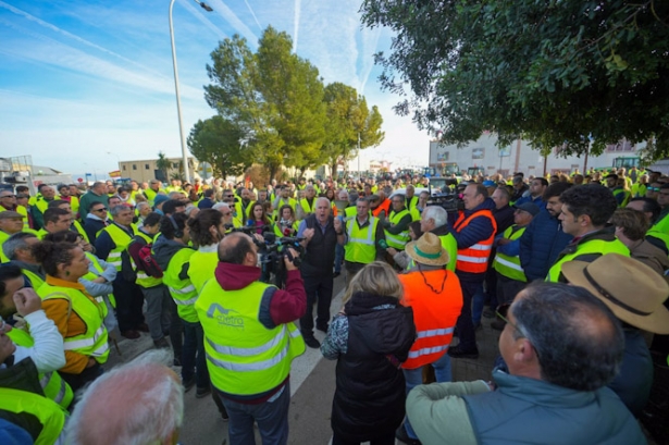 Cientos de agricultores en Carmona (Sevilla) en las protestas por la situación del campo (FRANCISCO J. OLMO / EUROPA PRESS)