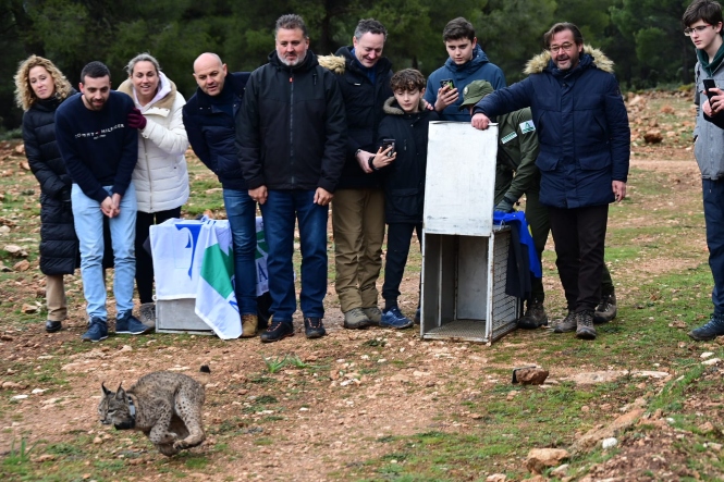 Imagen de la suelta (JUNTA)