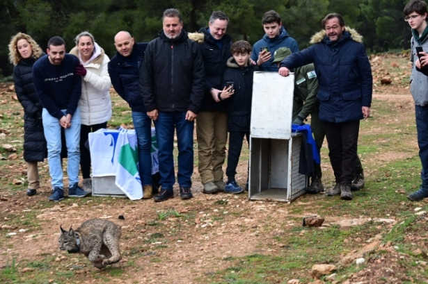 Imagen de la suelta (JUNTA)