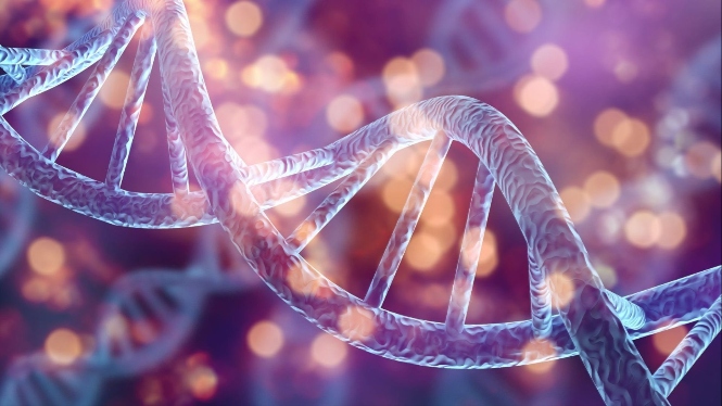 Científicos demuestran que la personalidad modifica la expresión de los genes (UGR) 