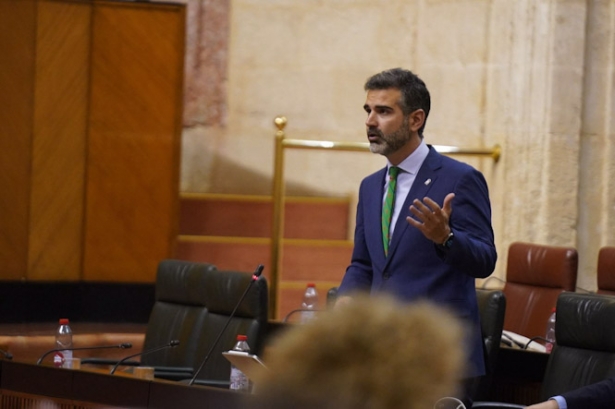 El consejero de Sostenibilidad, Medio Ambiente y Economía Azul, Ramón Fernández-Pacheco, en el Parlamento (JUNTA DE ANDALUCÍA)