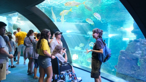 Visita al Biodomo (PARQUE DE LAS CIENCIAS) Visita al Biodomo (PARQUE DE LAS CIENCIAS)