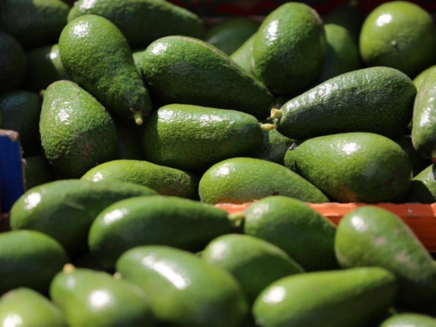 AGUACATES. Archivo (CONTACTO FOTO) AGUACATES. Archivo (CONTACTO FOTO)