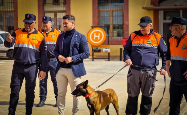 (AYUNTAMIENTO MOTRIL) (AYUNTAMIENTO MOTRIL)