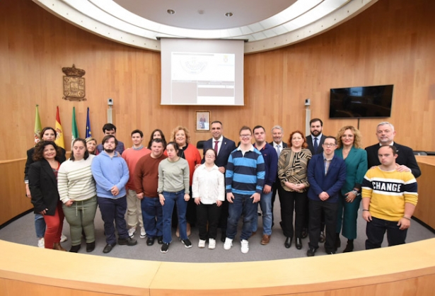 Pleno ordinario de Diputación (DIPGRA)
