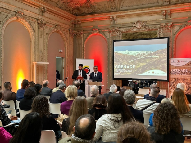 Promoción de la provincia de Granada en París (DIPGRA)
