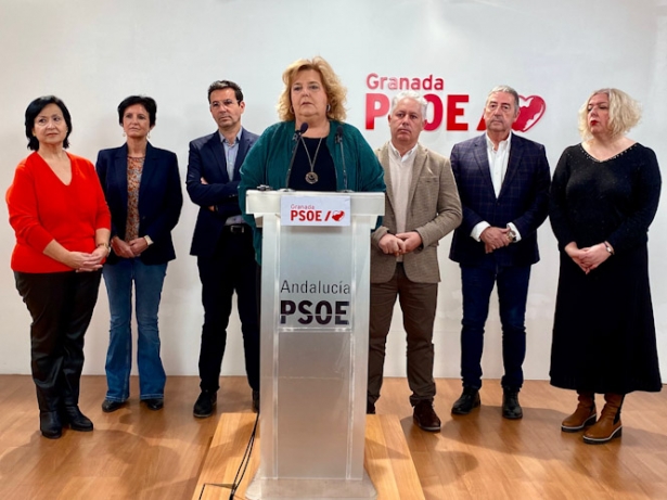 (PSOE) (PSOE)