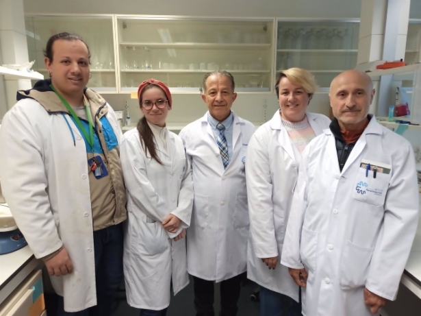 El equipo de investigación de este estudio. (UGR) El equipo de investigación de este estudio. (UGR)