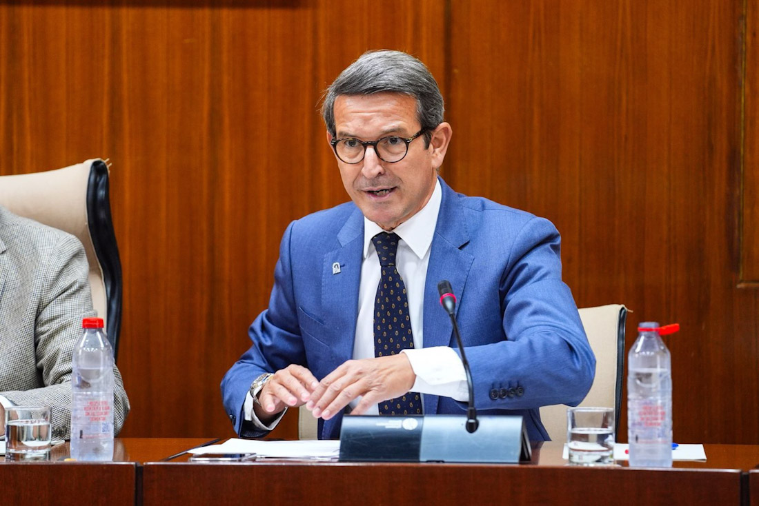 El consejero de Industria, Energía y Minas, Jorge Paradela, en comisión parlamentaria (JOAQUÍN CORCHERO - PARLAMENTO DE ANDALUCÍA) 