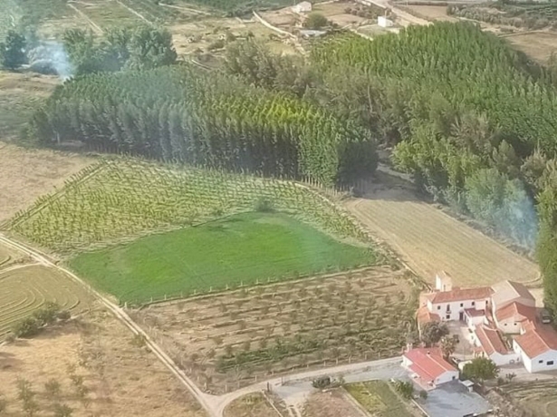 El Infoca da por extinguido el incendio forestal declarado en Guadix (INFOCA) El Infoca da por extinguido el incendio forestal declarado en Guadix (INFOCA)