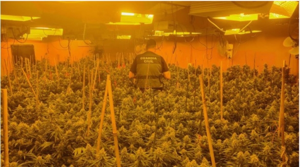 Plantación de marihuana desmantelada en un chalé de lujo de Monachil (GUARDIA CIVIL) Plantación de marihuana desmantelada en un chalé de lujo de Monachil (GUARDIA CIVIL)
