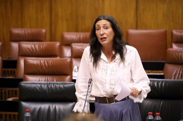 La consejera de Inclusión Social de la Junta de Andalucía, Loles López, la semana pasada en el Parlamento (JUNTA DE ANDALUCIA) La consejera de Inclusión Social de la Junta de Andalucía, Loles López, la semana pasada en el Parlamento (JUNTA DE ANDALUCIA)