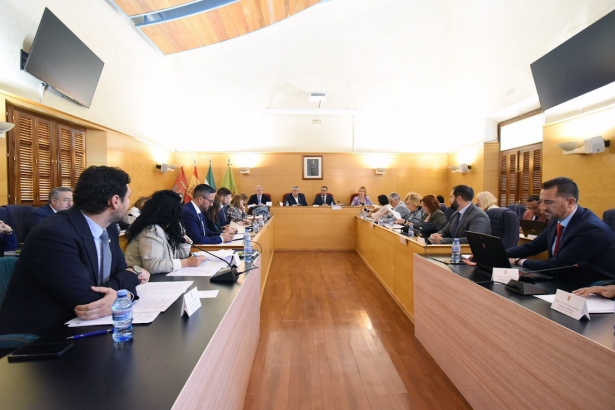 Pleno celebrado en Guadix (DIPGRA)