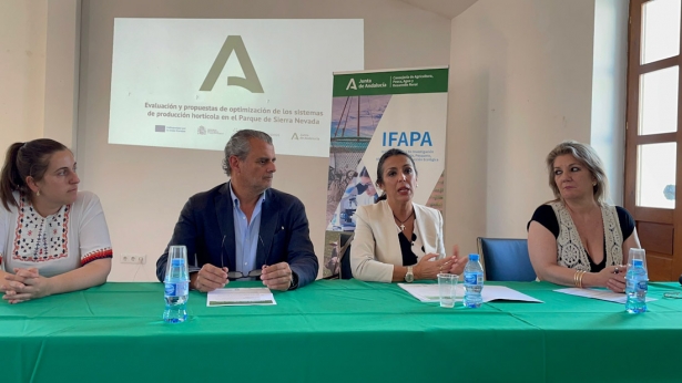 Presentación de los resultados (IFAPA) Presentación de los resultados (IFAPA)