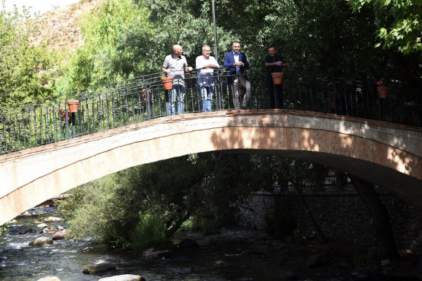 Imagen de la visita a Pinos Genil (DIPGRA)