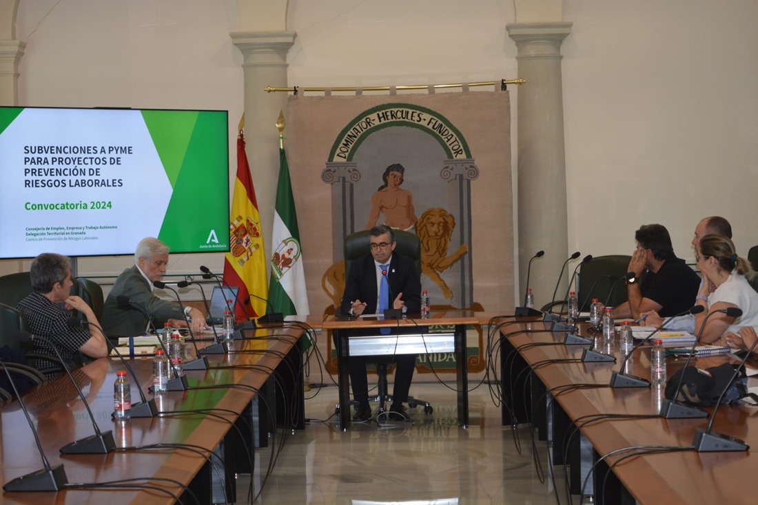 Presentación de las ayudas (JUNTA)