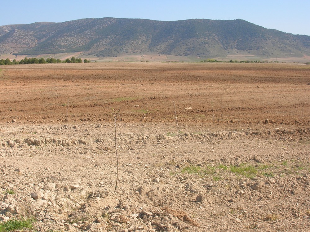 (ASAJA GRANADA)