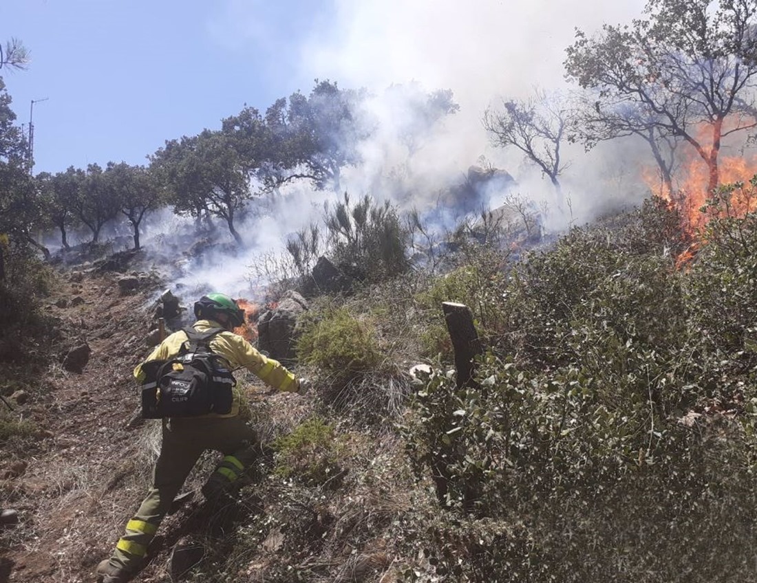 Bomberos del Infoca trabajan en la extinción de un incendio. Archivo. (JUNTA DE ANDALUCÍA )