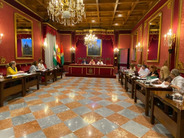 Comisión Economía (AYTO. GRANADA) Comisión Economía (AYTO. GRANADA)