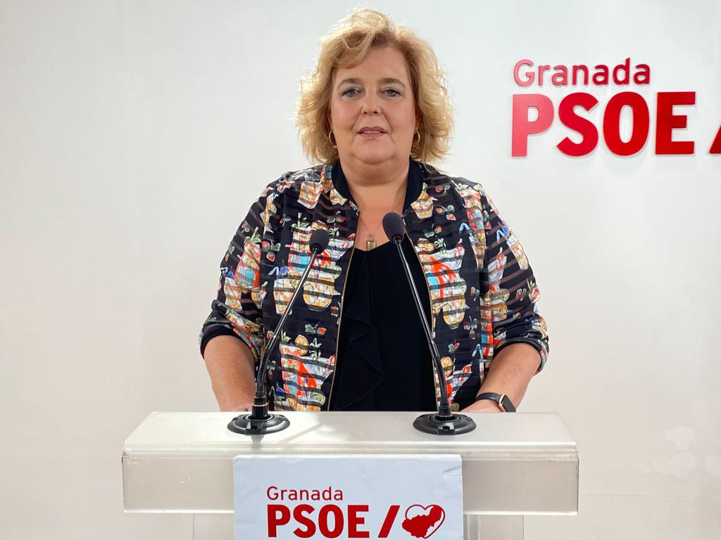 (PSOE)