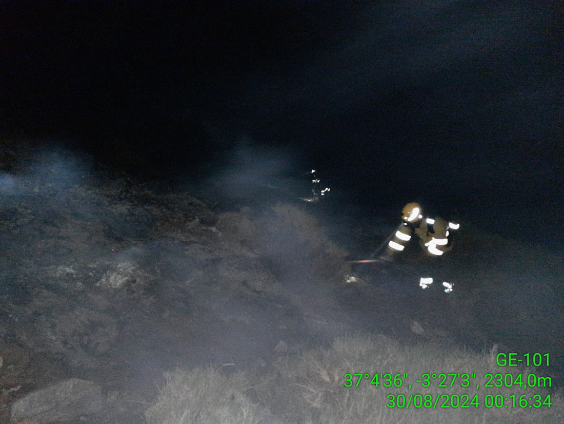 Bomberos del Infoca trabajan en la extinción del fuego (INFOCA)