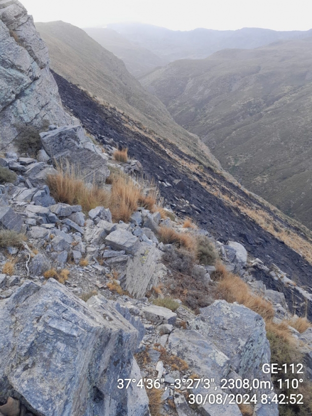 Lugar del incendio (INFOCA)