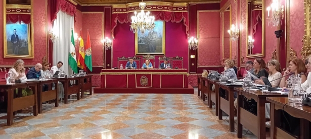 Comisión de Economía del Ayuntamiento de Granada (EUROPA PRESS)