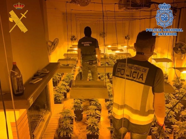 Plantación de marihuana (POLICÍA NACIONAL EN GRANADA)