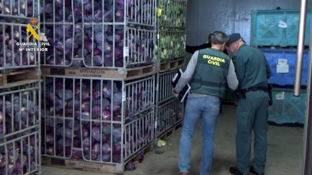 Cae una red en Motril por vender dos millones de kilos de frutas y verduras como productos ecológicos (GUARDIA CIVIL)