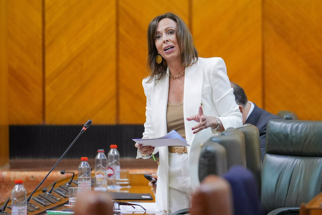 La consejera de Fomento, Articulación del Territorio y Vivienda, Rocío Díaz, en imagen de archivo (FRANCISCO J. OLMO - EUROPA PRESS)