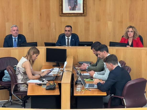 Pleno de Diputación (DIPGRA)