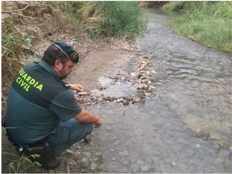 (GUARDIA CIVIL) 