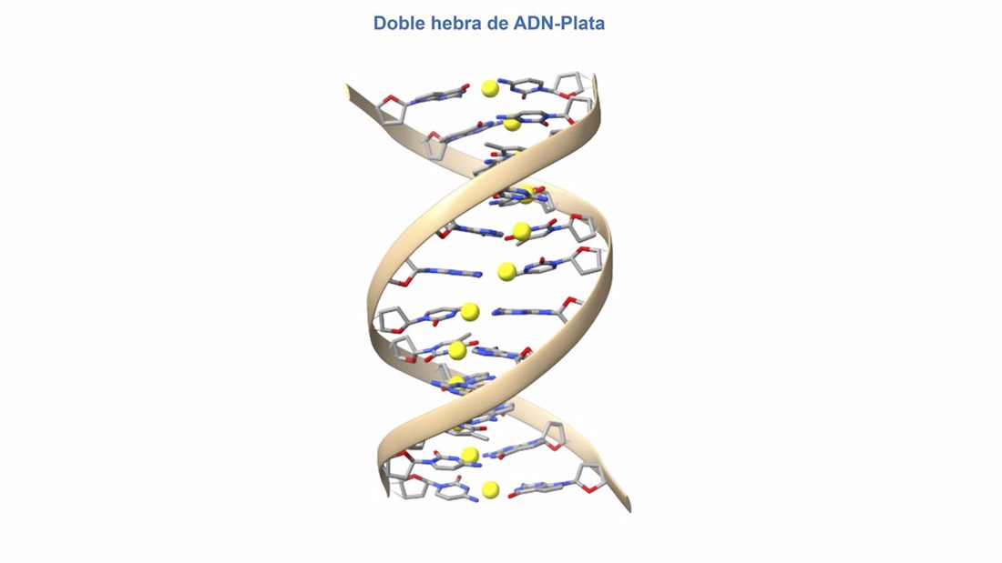 Figura de una doble hebra de ADN-Plata (UGR)