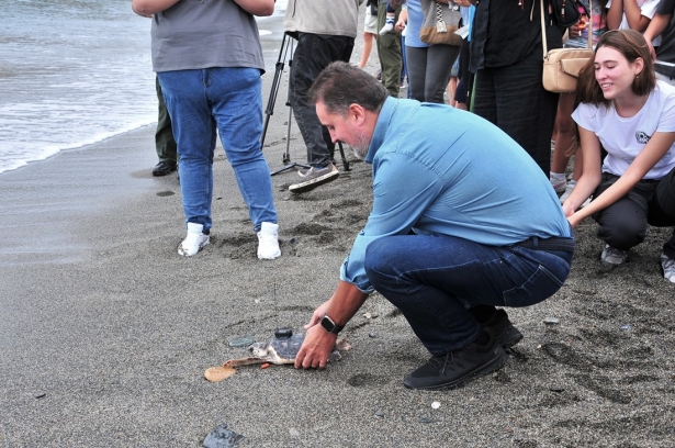 El delegado suelta a una de las tortugas (JUNTA)