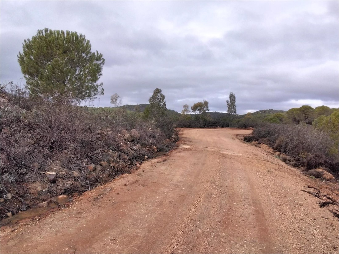 Imagen de archivo de un camino forestal (JUNTA DE ANDALUCÍA)