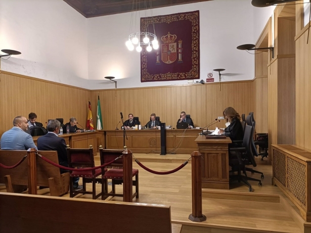 Primera sesión del juicio en la Audiencia de Granada por el robo de la talla de Santa Margarita que iba a subastarse en Nueva York. Archivo (EUROPA PRESS) Primera sesión del juicio en la Audiencia de Granada por el robo de la talla de Santa Margarita que iba a subastarse en Nueva York. Archivo (EUROPA PRESS)