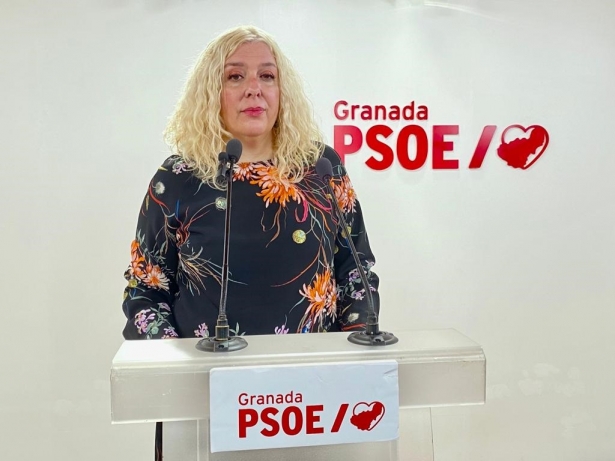 (PSOE) (PSOE)