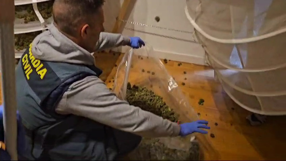 La Guardia Civil se incauta de más de mil plantas y 17 kilos de marihuana en varios pueblos (GUARDIA CIVIL DE GRANADA)