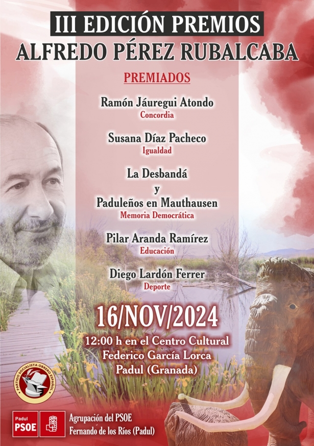(PSOE) (PSOE)