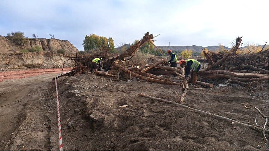 Trabajos en la Rambla de Fiñana, en el término municipal de Guadix (CHG)