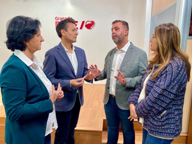 (PSOE) (PSOE)