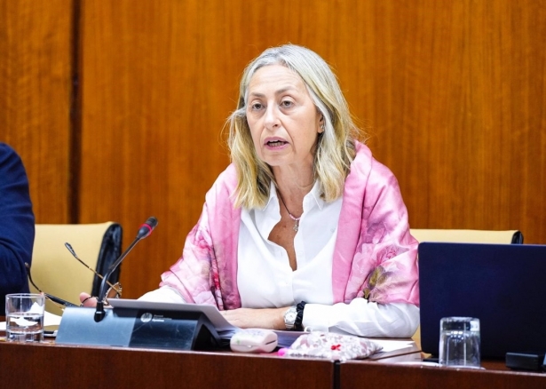 La Consejera de Salud y Consumo, Rocío Hernández, en comisión parlamentaria el 20 de noviembre de 2024 (JOAQUÍN CORCHERO/PARLAMENTO DE ANDALUCÍA) La Consejera de Salud y Consumo, Rocío Hernández, en comisión parlamentaria el 20 de noviembre de 2024 (JOAQUÍN CORCHERO/PARLAMENTO DE ANDALUCÍA)