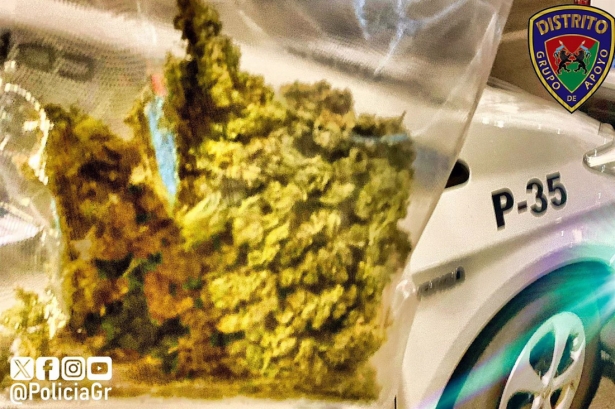 Marihuana incautada por la Policía Local de Granada (PERFIL DE LA POLICÍA LOCAL EN LA RED SOCIAL `X`)