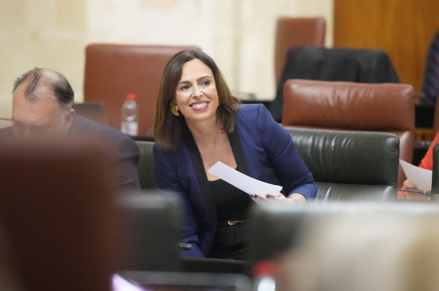 La Consejera de Fomento, Rocío Díaz (JUNTA) La Consejera de Fomento, Rocío Díaz (JUNTA)